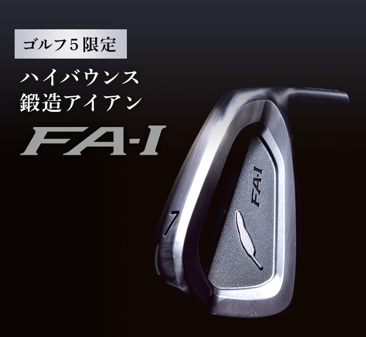 ゴルフ5限定 ハイバウンス鍛造アイアン FA-I